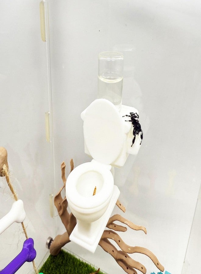 Daerky Jumping Spider Water Feeder, Spider Magnetic Hanging Water Feeder, Small Animal Fence Decoration, Suitable for All Kinds of Jumping Spiders and Small Insects Habitat Fence Accessories - Image 1